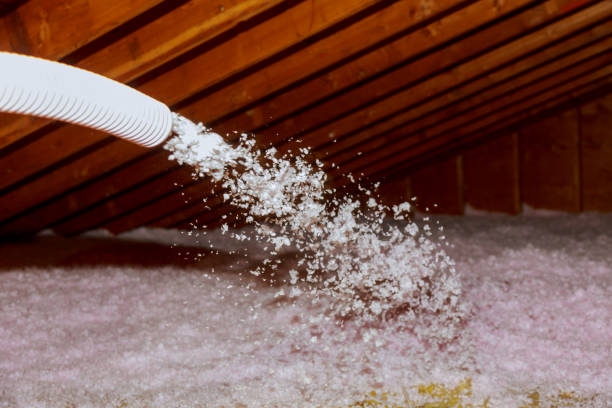 Best Insulation Materials and Products in Pine Grove, CA